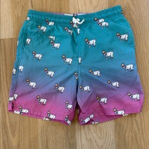 Kids Unicorn Swim Shorts - Blue and Pink